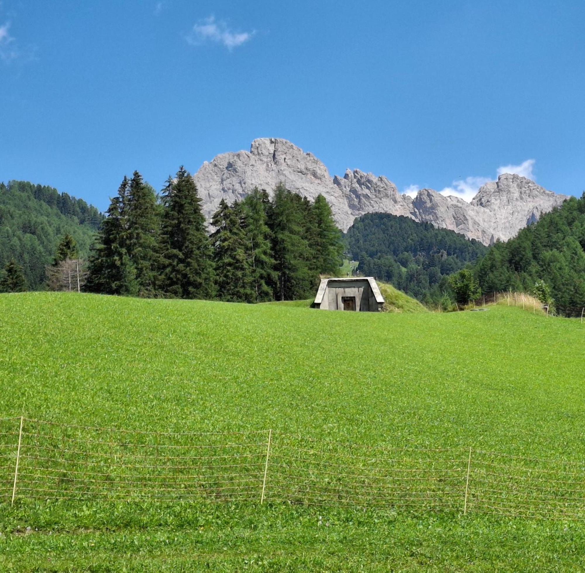 Villa Sella Sëlva Buitenkant foto